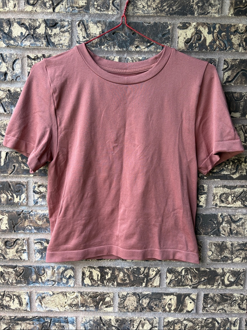 🪷A New Day Women's Short Sleeve Crewneck Crop Top Tshirt, Dusty Rose, M